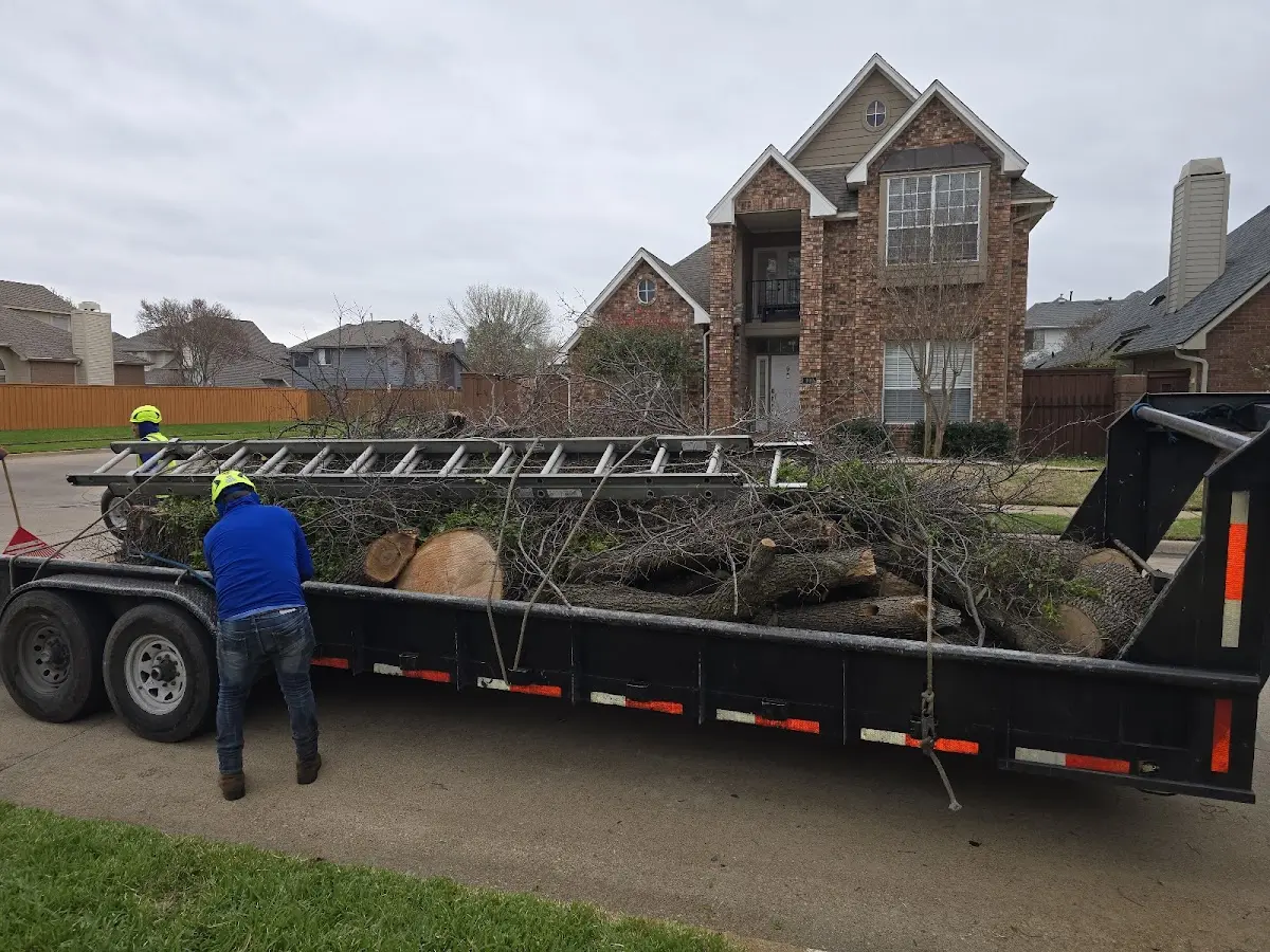Expert Tree Fertilization with proper safety equipment in Sedgwick